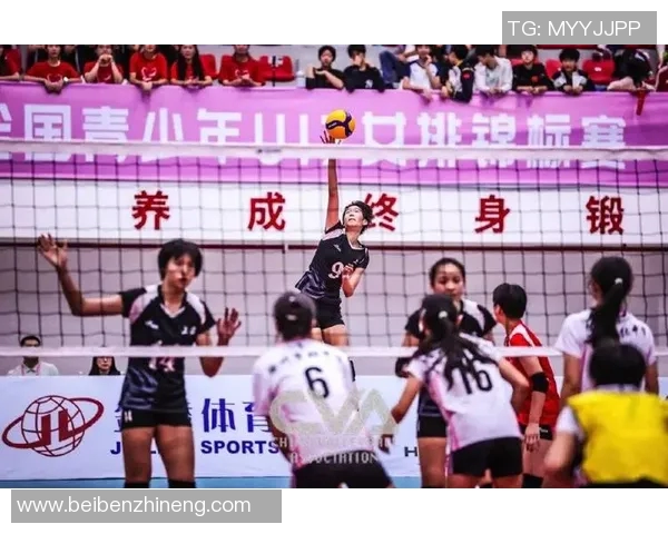 上海排球队在冠军赛中的灵活战术与团队配合精彩点评 上海排球队在冠军赛中的灵活战术与团队配合精彩点评