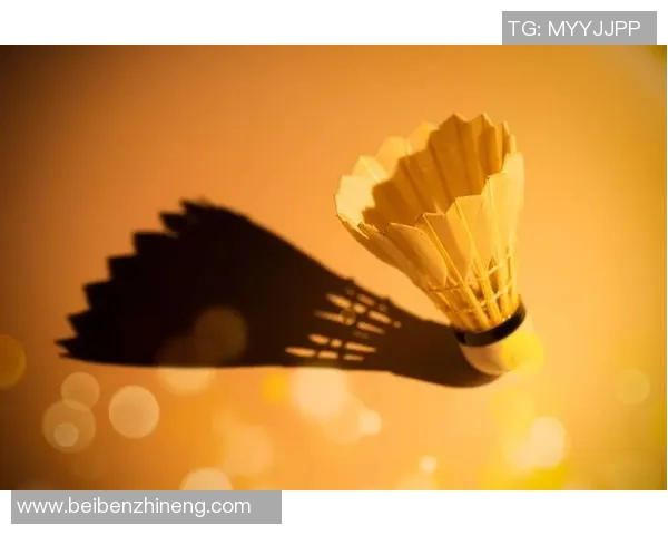 羽毛球盛宴：深入解析南京羽毛球队的比赛策略与经验分享