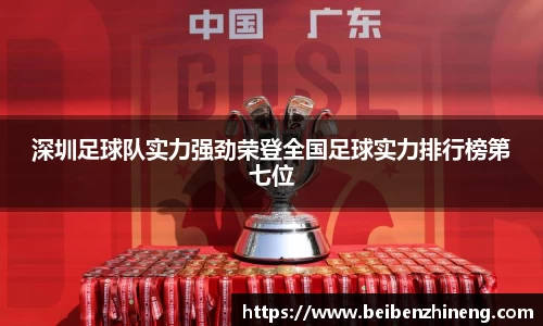 深圳足球队实力强劲荣登全国足球实力排行榜第七位